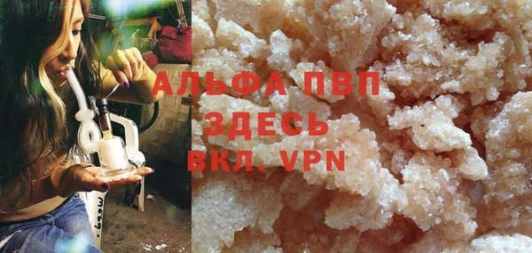 сатива Корсаков