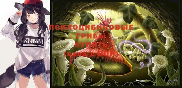 сатива Корсаков