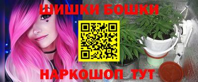 стафф Кингисепп