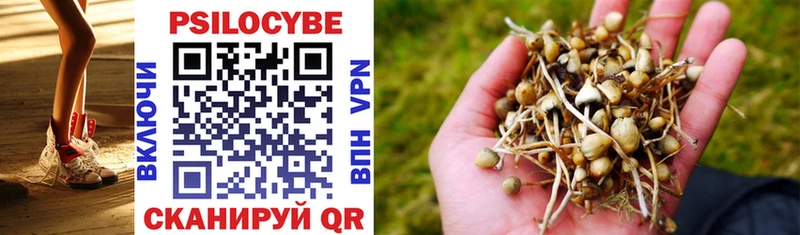 Псилоцибиновые грибы Magic Shrooms  Краснознаменск 