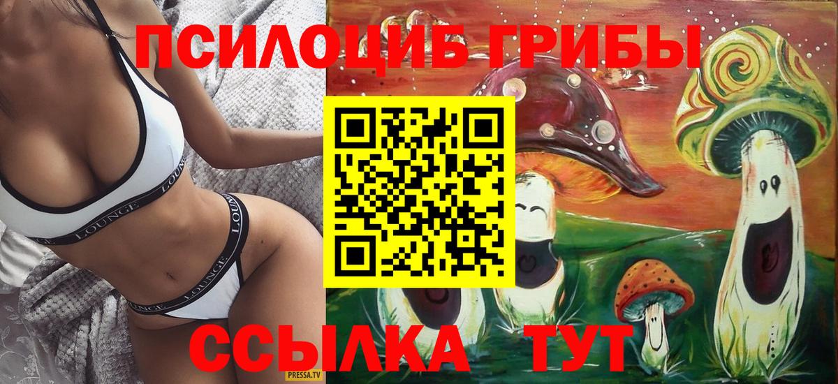 Краснознаменск  Галлюциногенные грибы Psilocybe  купить закладку  Вход с VPN  Галлюциногенные грибы MAGIC MUSHROOMS 
