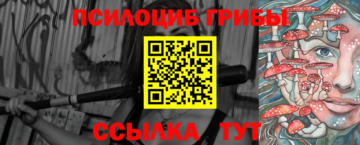 Галлюциногенные грибы Psilocybine cubensis Краснознаменск